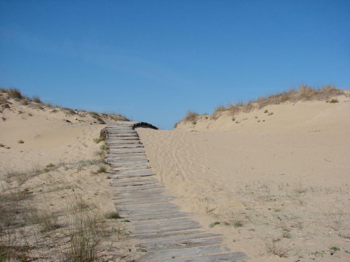 Dunas Victoria 올리바 외부 사진